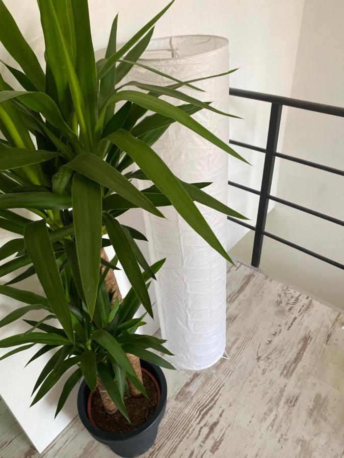 Hisa Megiclinic - Apartments & Healing Center Kobarid Zewnętrze zdjęcie