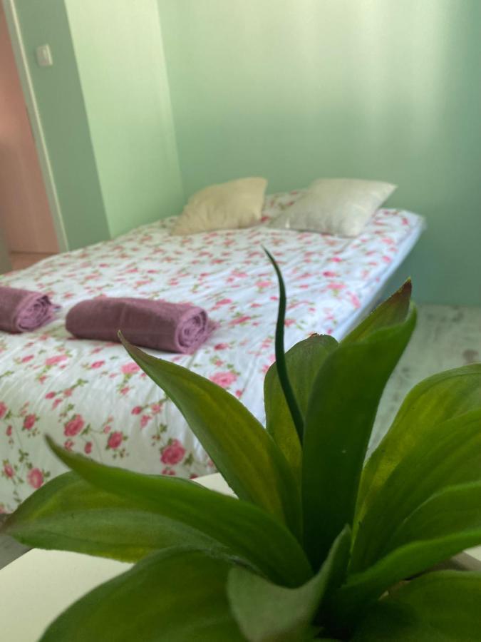 Hisa Megiclinic - Apartments & Healing Center Kobarid Zewnętrze zdjęcie