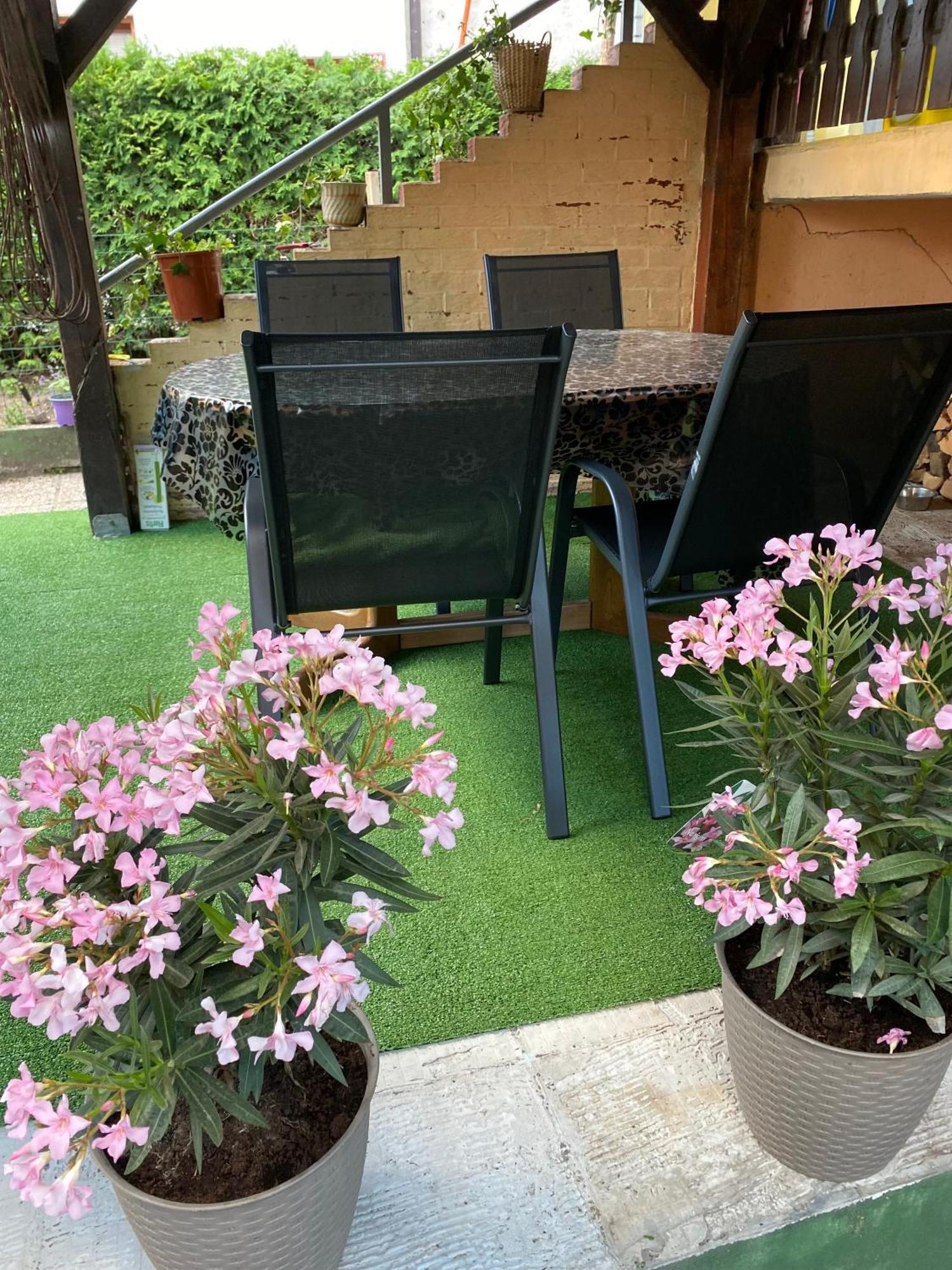 Hisa Megiclinic - Apartments & Healing Center Kobarid Zewnętrze zdjęcie