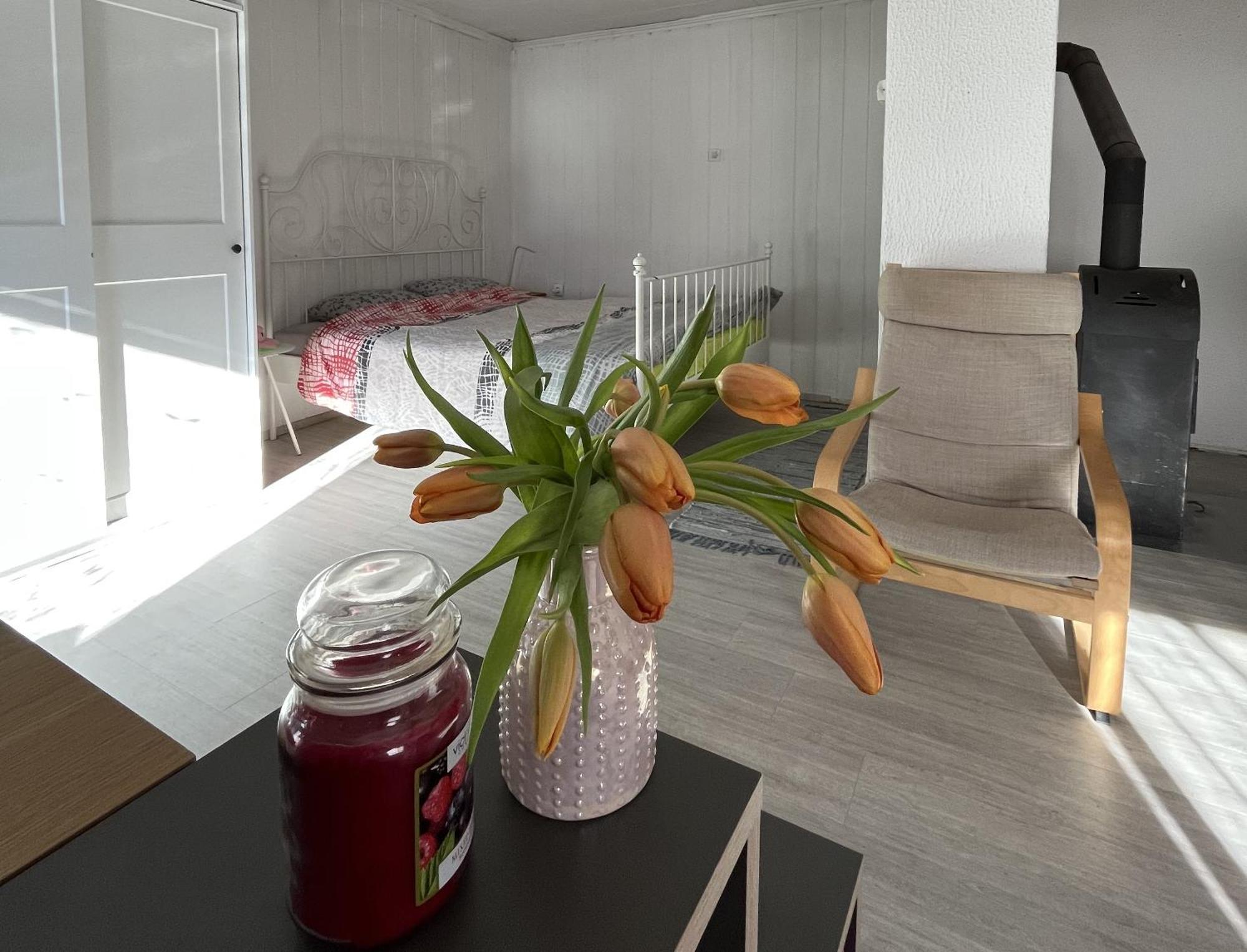 Hisa Megiclinic - Apartments & Healing Center Kobarid Zewnętrze zdjęcie