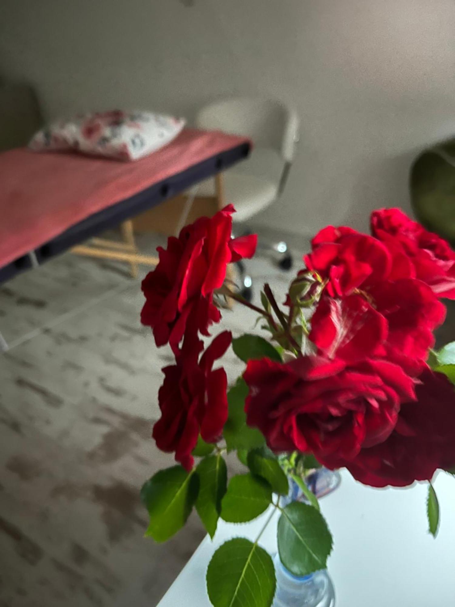 Hisa Megiclinic - Apartments & Healing Center Kobarid Zewnętrze zdjęcie